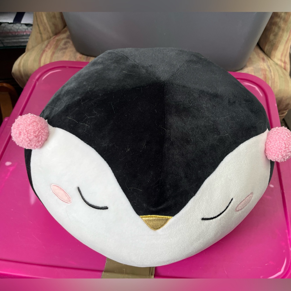 Cute pillow